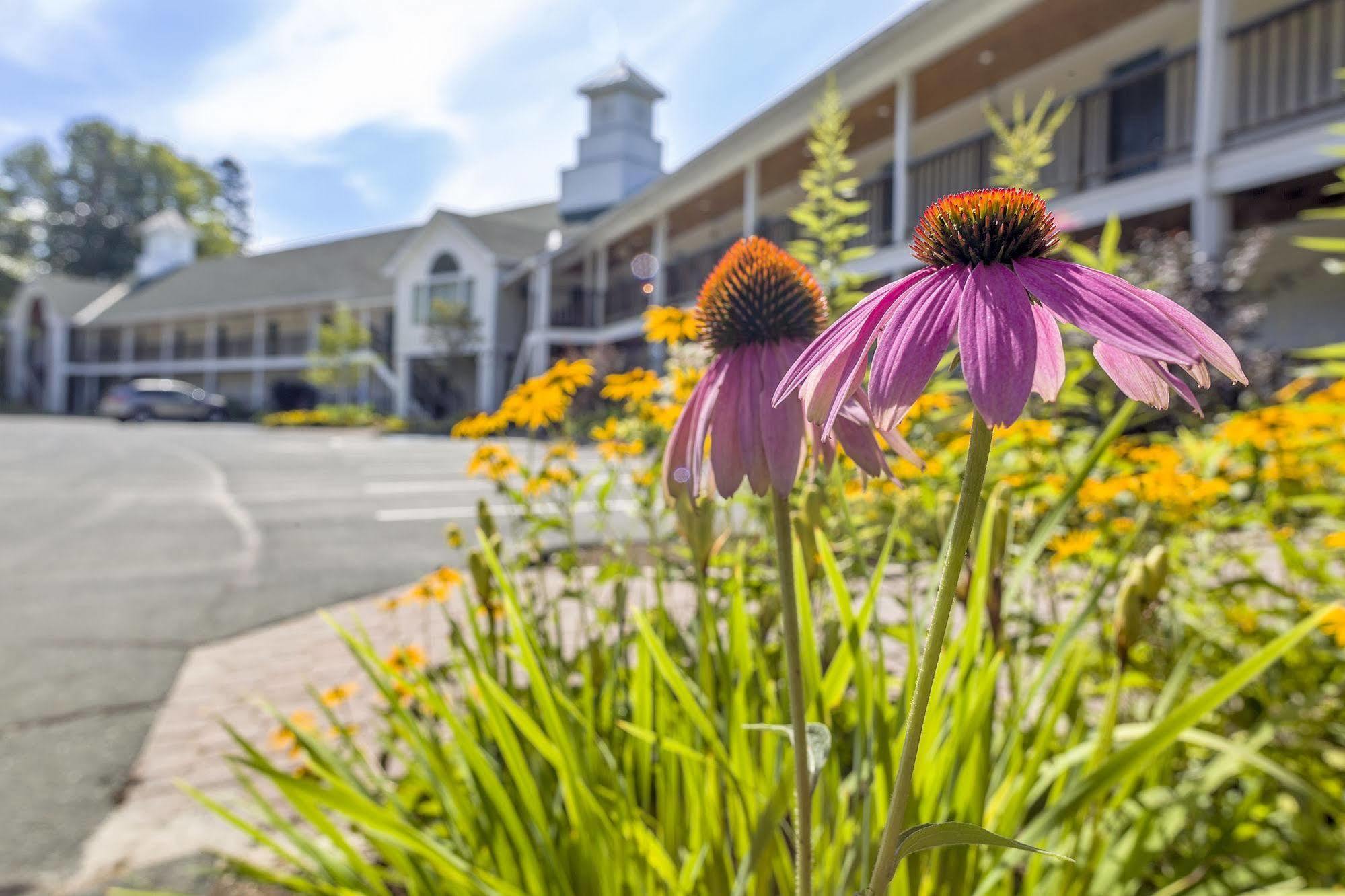 Fairbanks Inn Saint Johnsbury Zewnętrze zdjęcie